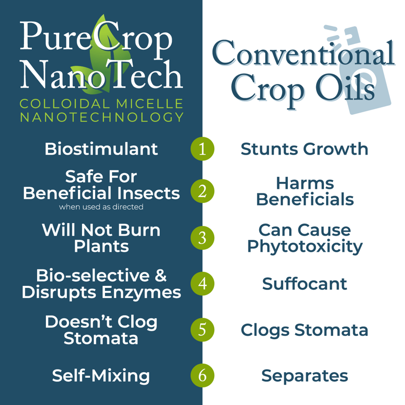 PC NT vs Oils