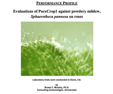 Cover Shot of Powdery mildew study