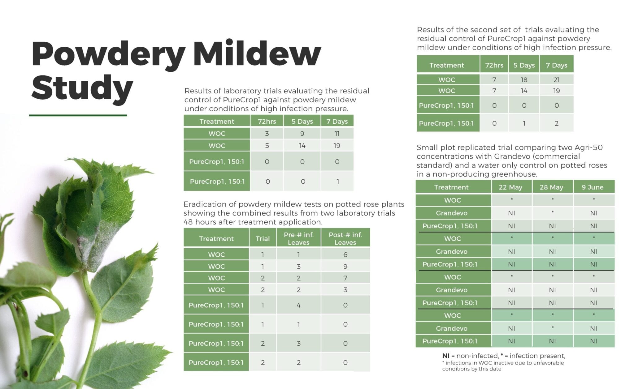 Powdery Mildew Studies