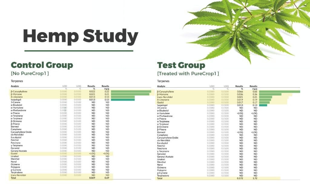 Terpenes-Presentation-Slide