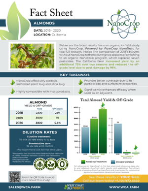 Almond - Case Study preview