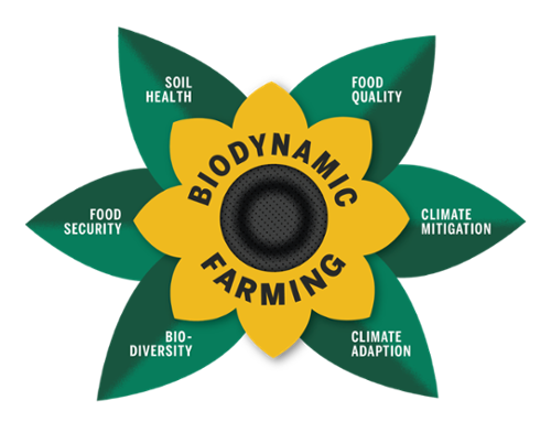 biodynamic farming pillars include food quality, climate mitigation and adaptation, biodiversity, food security and soil health