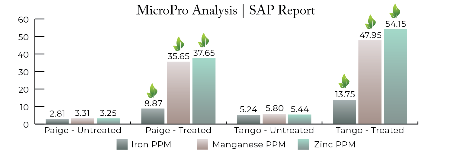 A graph showing the rise in Iron, Manganese, Zinc when using MicroPro on Citrus crops