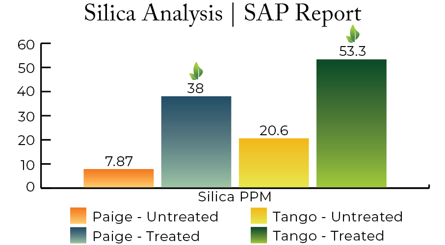 A bar graph from a SAP report showing Silica levels rise in Citrus crops when using NanoCrop, MacroMag, MicroPro, and ColloidalSea.