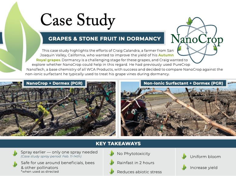 Preview image of Grapes and Stone Fruit in dormancy case study