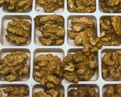An image of a tray of walnuts treated with NanoCrop