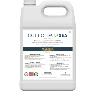 ColloidalSea
