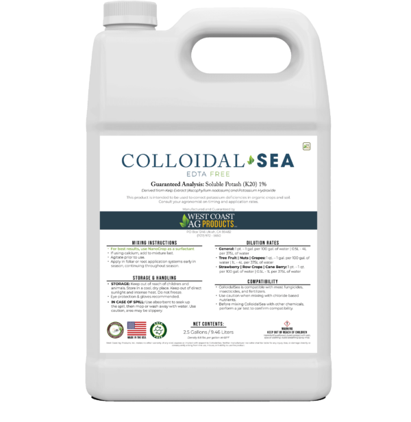 ColloidalSea